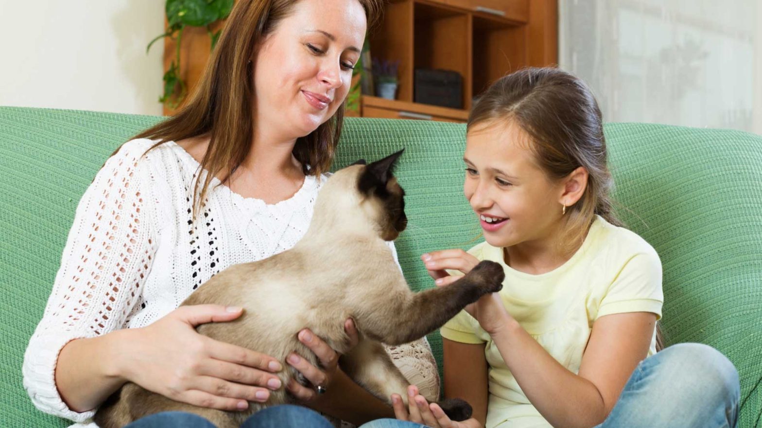 O uso de animais de terapia no tratamento de autismo