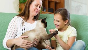 O uso de animais de terapia no tratamento de autismo