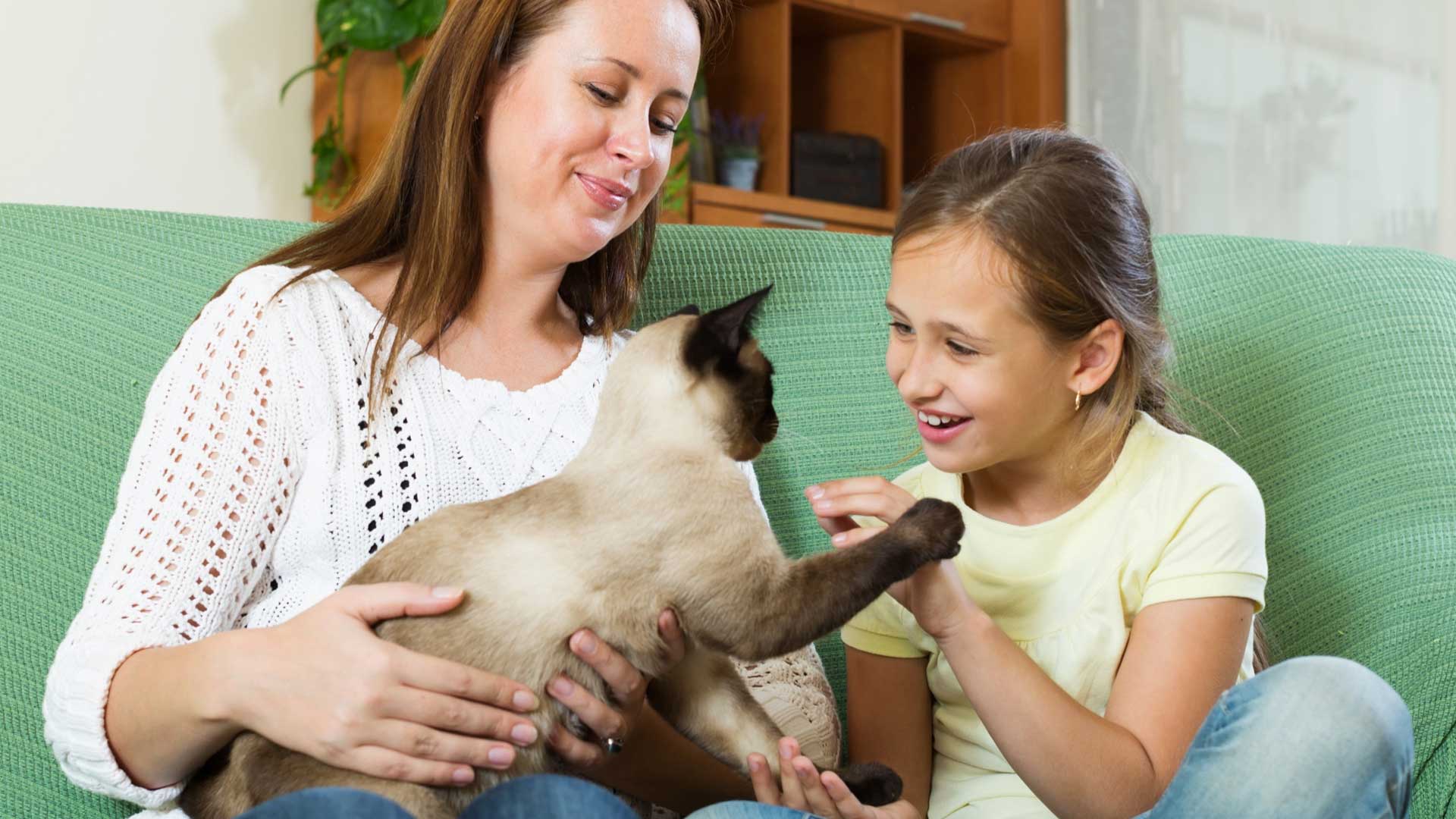 O uso de animais de terapia no tratamento de autismo